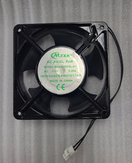 Collectable Craze Fan