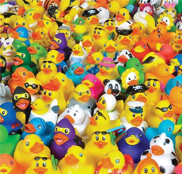 2" Rubber Duck Assortment  ---